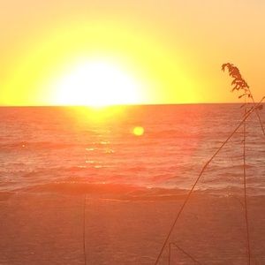 Meet your Posher, Saige